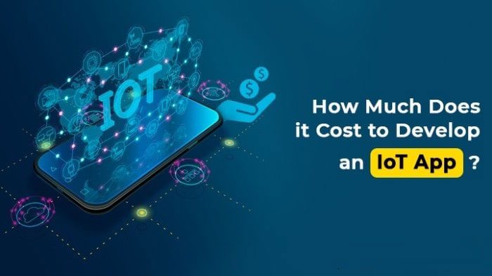 iOS App Development Cost